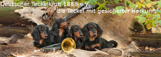 Deutscher Teckelklub 1888 e.V.
